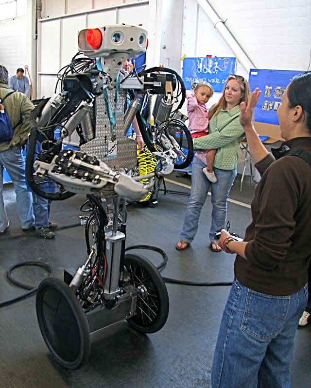 A remote control two-wheel balancing bot