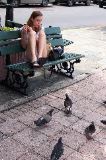 The Pigeons Swarm