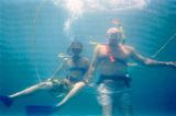 Dan and Dad underwater