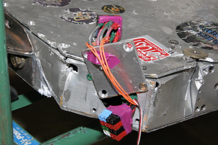 Brainstorm left his mark on Lionheart's butt