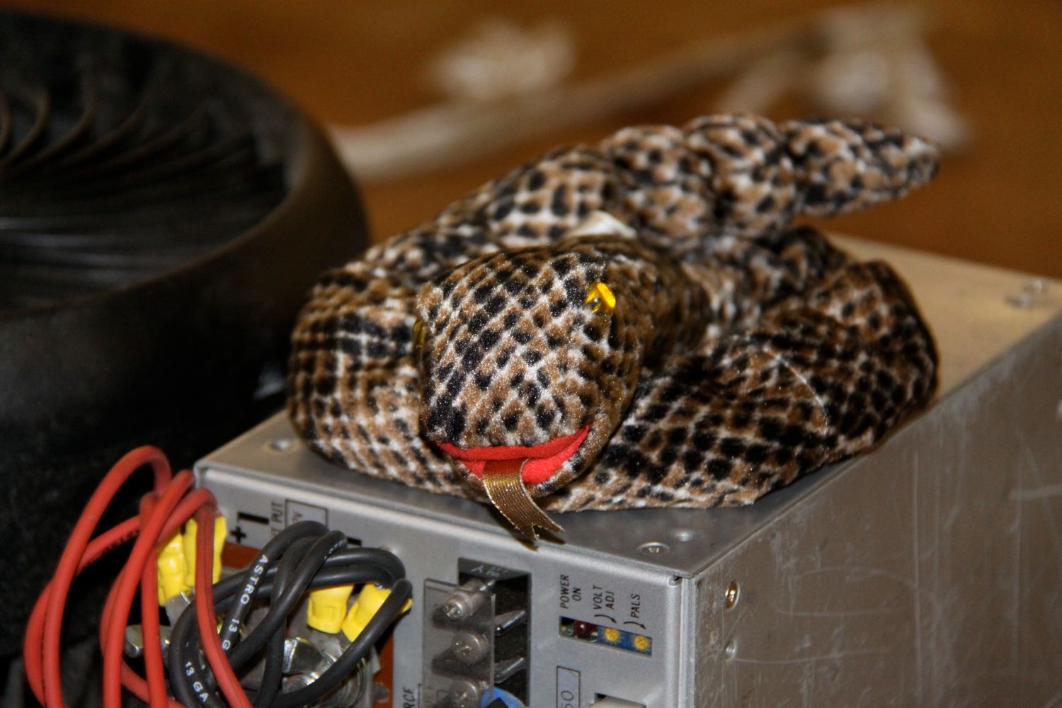 The real sewer snake?