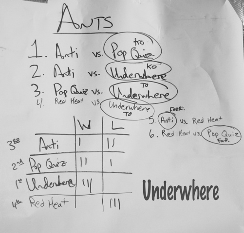 Antweight Brackets