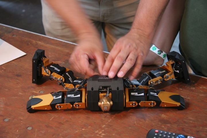 Small robot getting a prostate exam