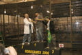 Middleweight Winners