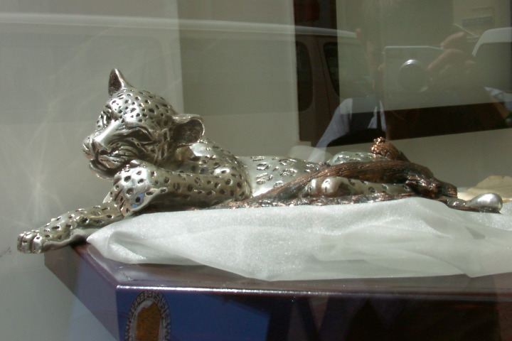 Silver Leopard in store by Dan