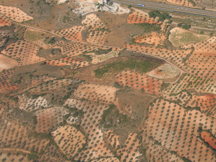 Orchards in Madrid