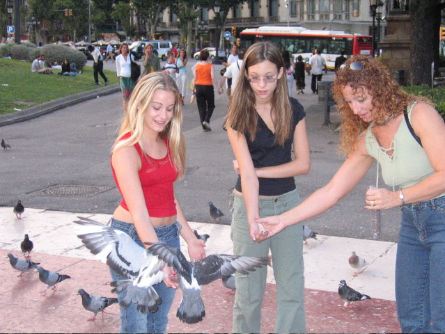 Feeding pigeons in the square