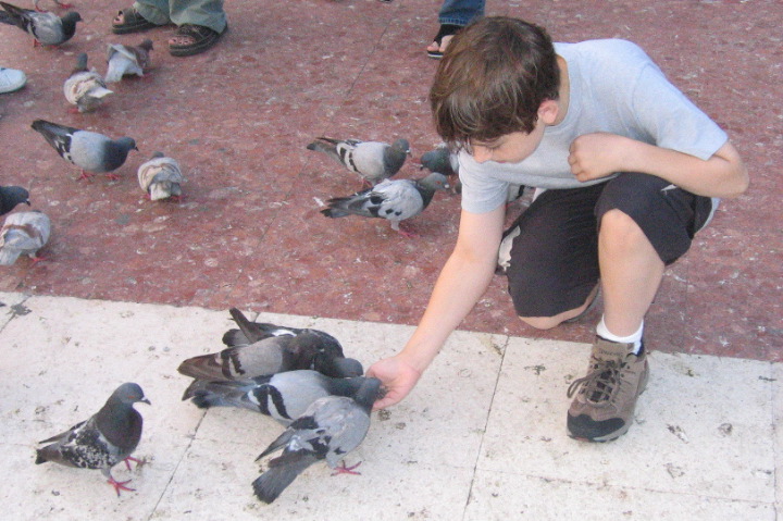 Dan and his flock