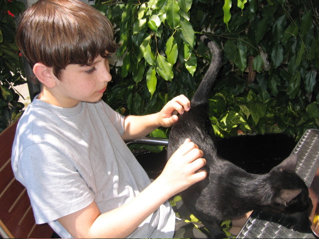 A cat finds Dan at McDonalds