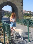 The famous "Dog of Naples"