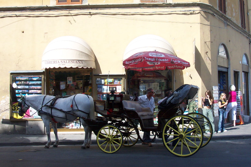 Kelsey and Jacey have ice cream while the tour horse waits