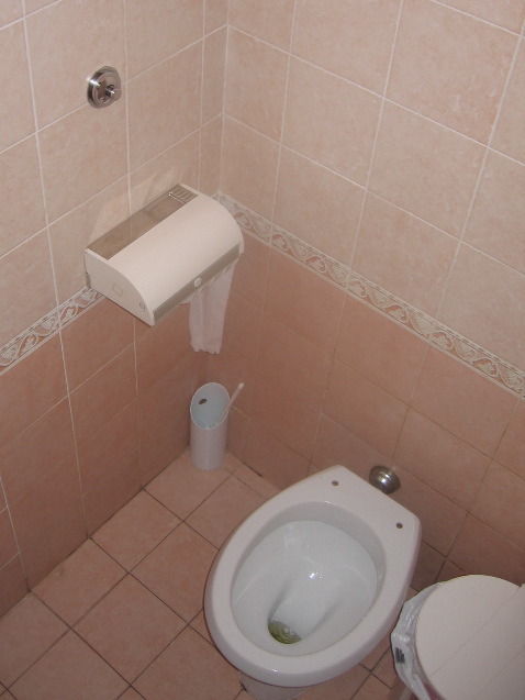 An Italian toilet (no seat)
