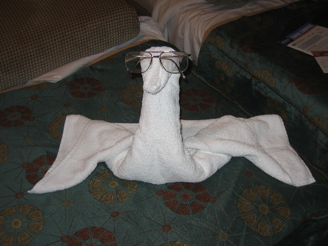 Swan