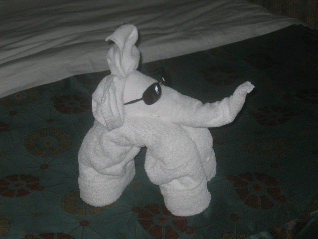 Anteater