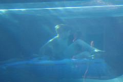 Danny tubing