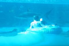 Shark and Danny