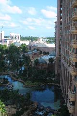 View from the Royal Towers